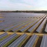 Video: The birth of a solar farm in Halifax County, NC